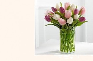 Colorful Tulips in a Vase